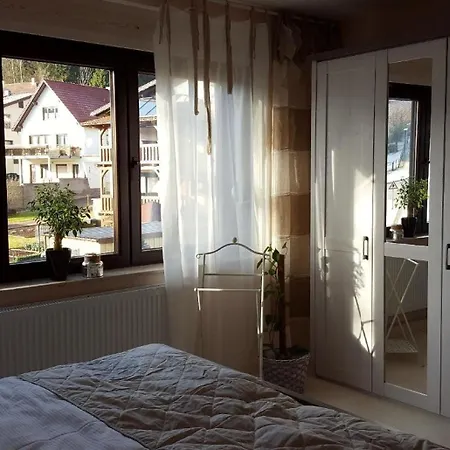 Monderne Komfortwohnung Im Kurort Am Rennsteig