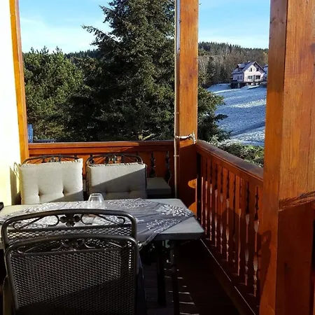 Monderne Komfortwohnung Im Kurort Am Rennsteig Apartment
