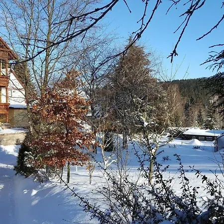 Monderne Komfortwohnung Im Kurort Am Rennsteig Friedrichroda